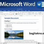 Microsoft Word